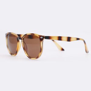 Customized sunglasses in bulk DBS6549 fashiona Geometrical shape sunglasses for women men painting brown color