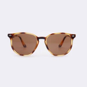 Customized sunglasses in bulk DBS6549 fashiona Geometrical shape sunglasses for women men painting brown color