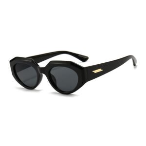 Oem sunglasses supplier custom DBS6933 geometric plastic sunglasses shades for women man