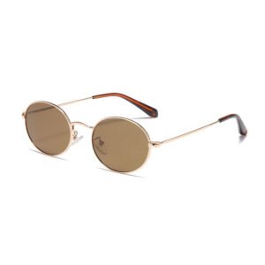 DBS6482P Custom Oval metal frame sunglasses OEM LOGO and color