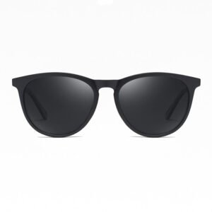 DBS6866P-TR TR90 sunglasses retro style new design high quality
