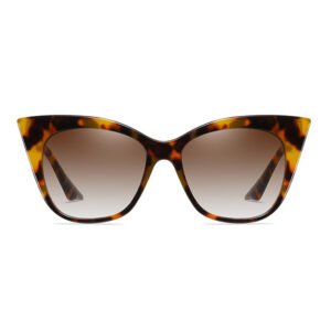 2021 new DBS6940 cat eye women sunglasses