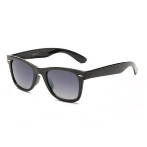 DBS6460 new wayfarer sunglasses unisex OEM your brand can custom packing