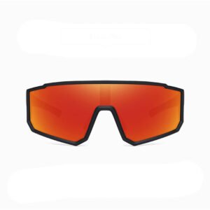DBS7009P NEW outdoor cycling sports sunglasses goggles various of colors is available