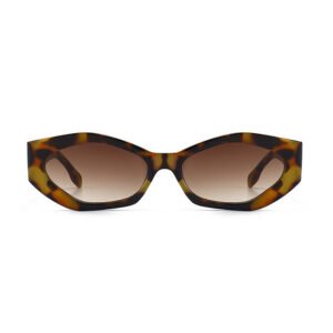 DBS7051 polygon rim fashion sunglasses ins popular models custom your design