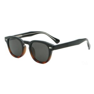 DBSUM6201-CP plastic classic fashion sunglasses shades