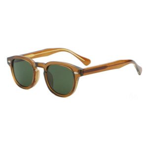 DBSUM6201-CP plastic classic fashion sunglasses shades