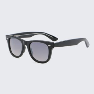 DBSUM6802-CP classic sunglasses OEM logo