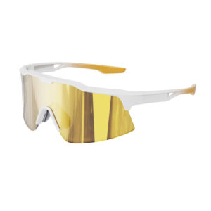 DBSSJDSKN11-19TR cycling sunglasses TR90 frame UV100%